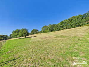 Field- click for photo gallery